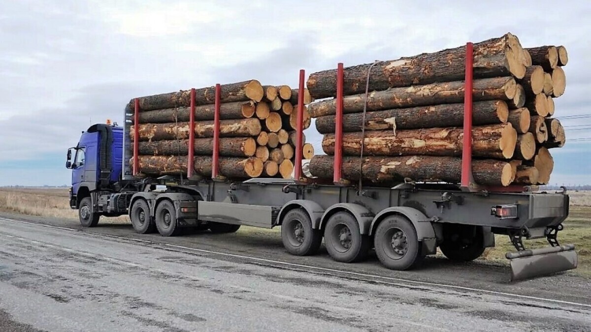 Власти Кыргызстана намерены продлить на полгода ограничения на экспорт лесоматериалов за пределы ЕАЭС