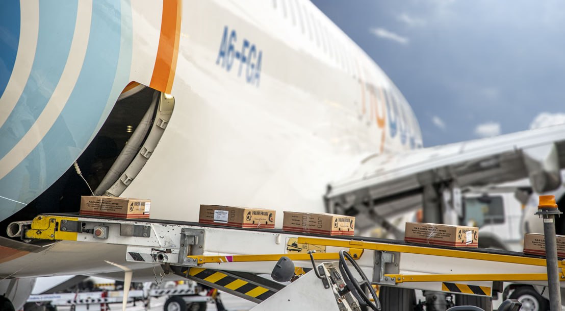 FlyDubai планирует запустить грузовые рейсы в Казахстан